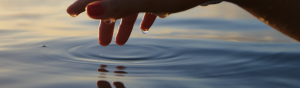 Heal with Body Balanced Remedies